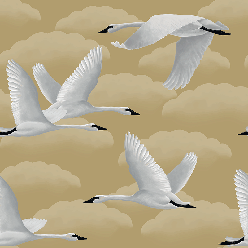 Elegant Swans – Golden