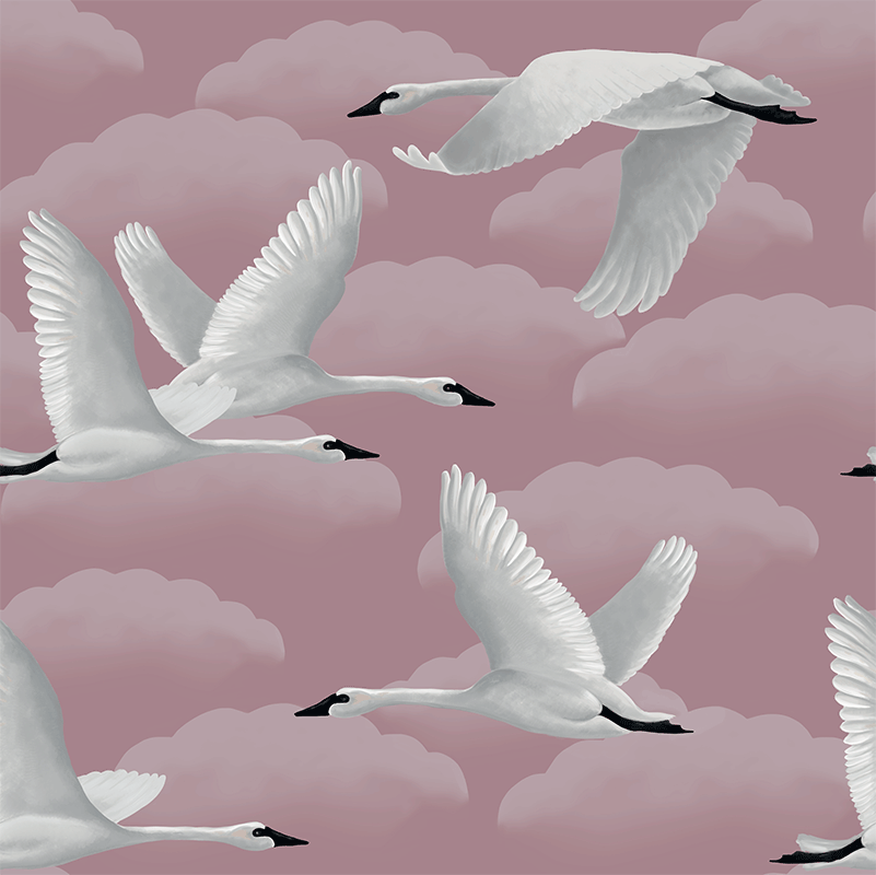 Elegant Swans – Pink
