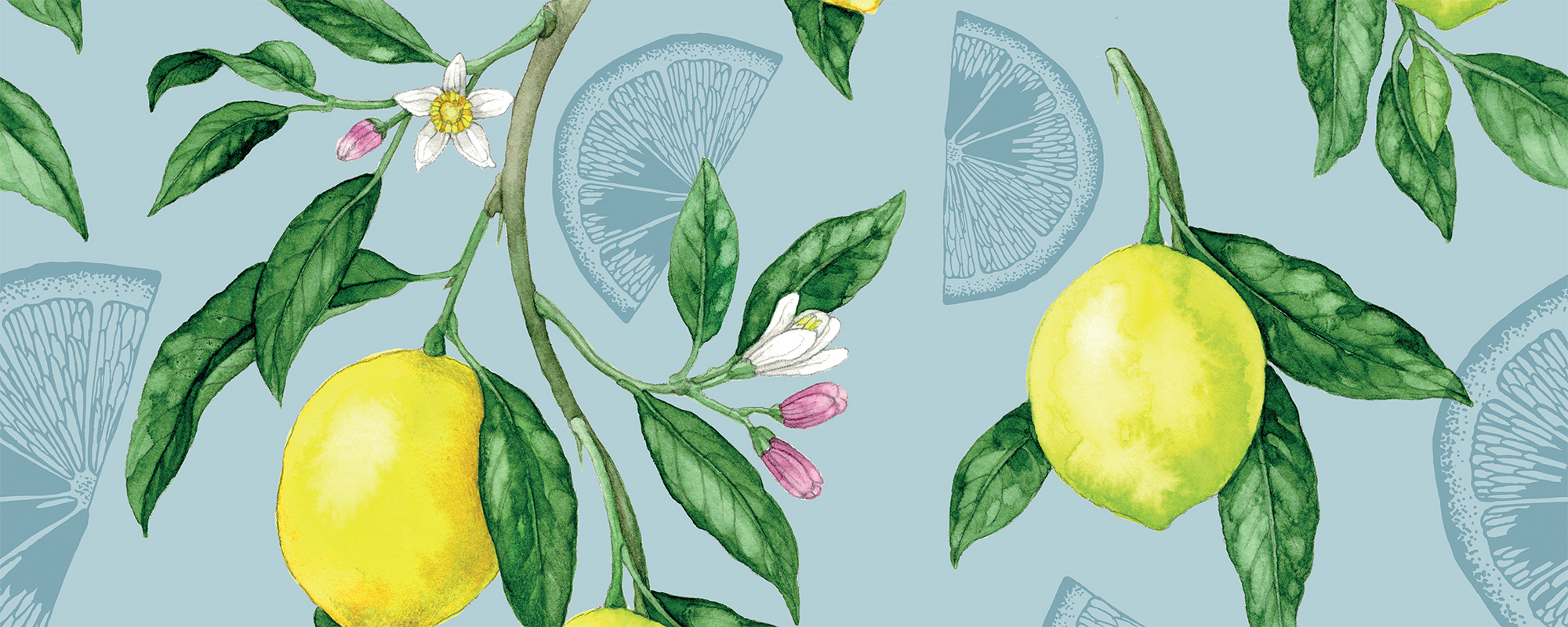 Ripe Lemons and Blue Wedges – Light Blue