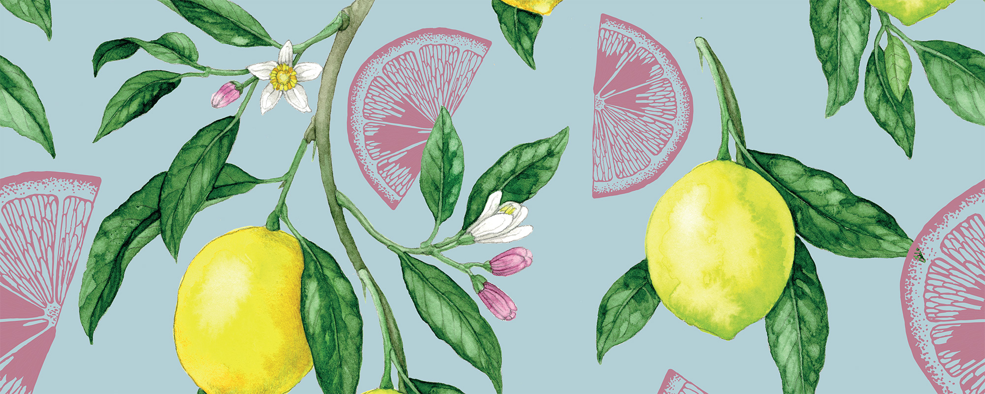 Ripe Lemons and Pink Wedges – Blue