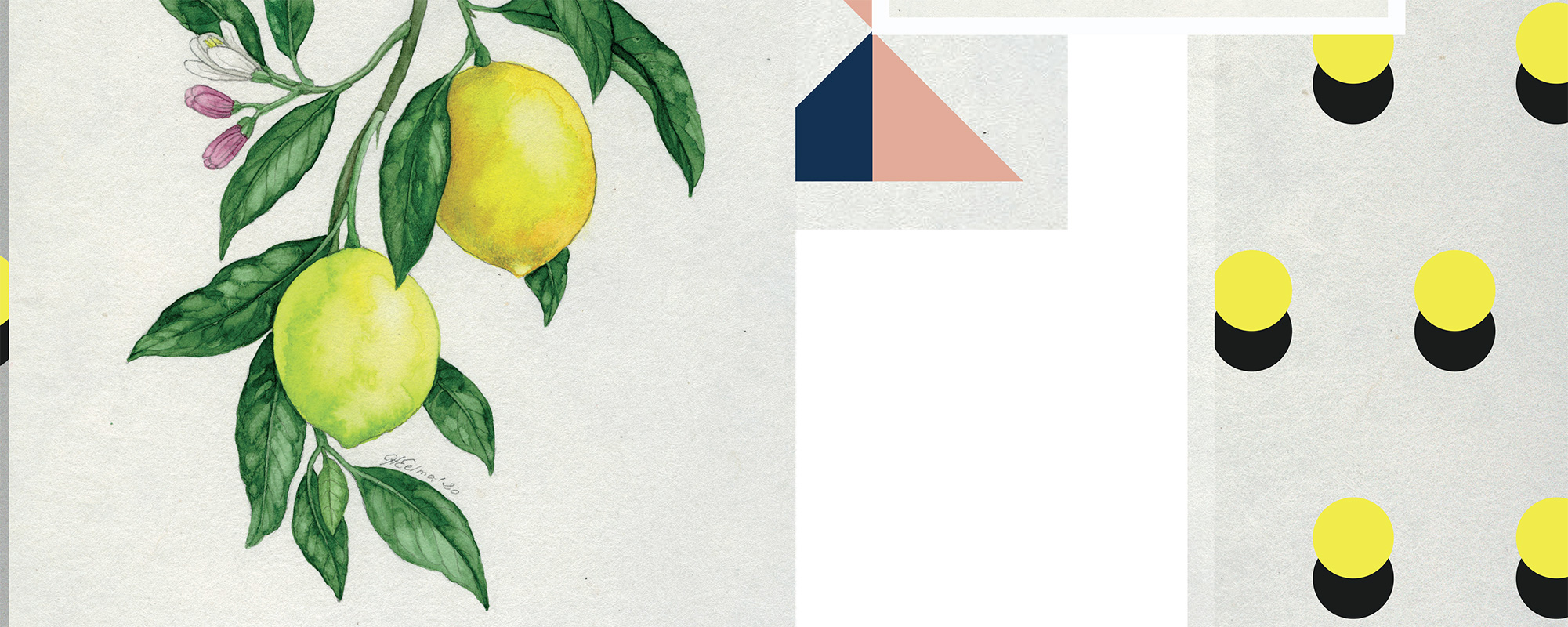 Fruity Geometric Art Gallery – White