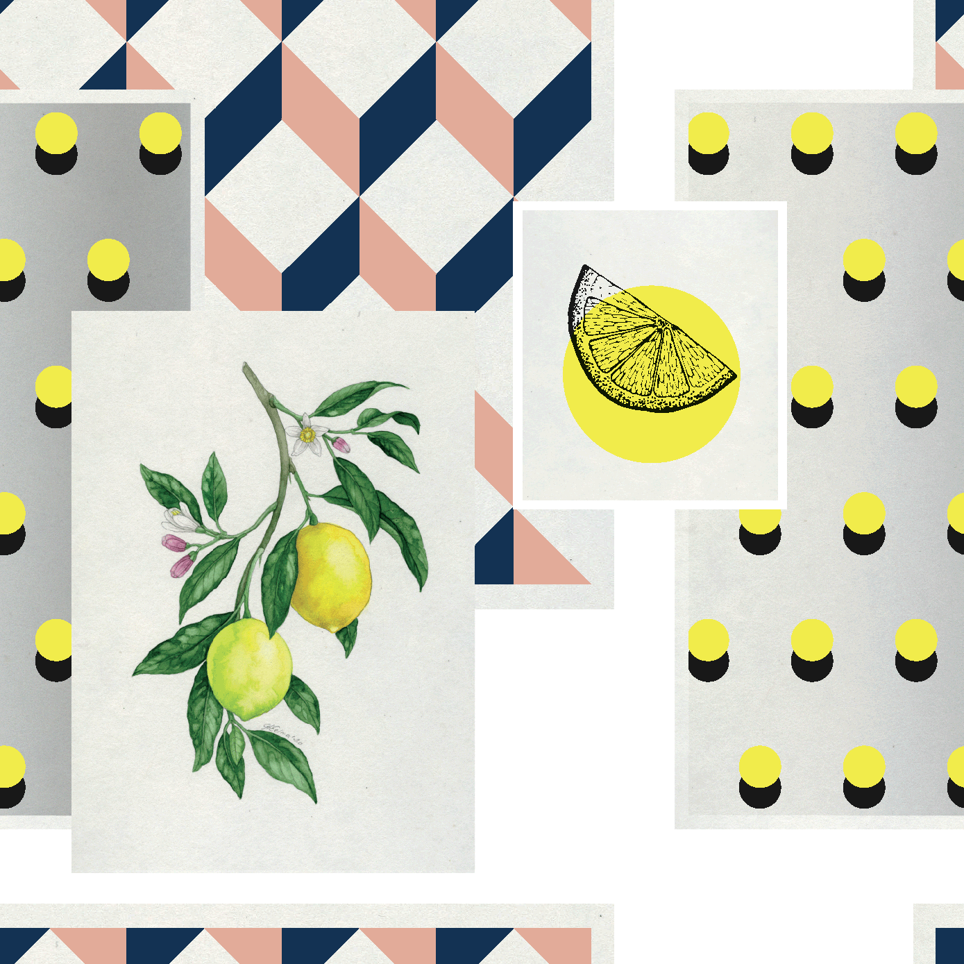 Fruity Geometric Art Gallery – White