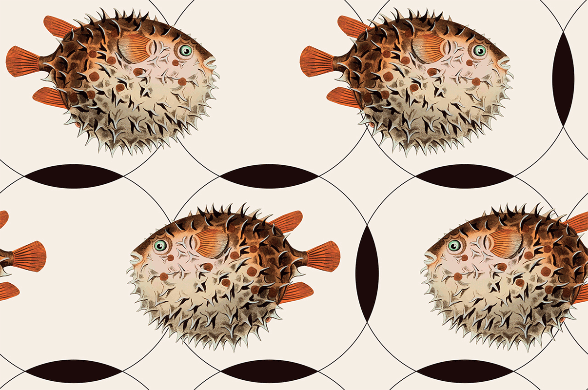 Spiky Balloon Fish & Geometric Circles