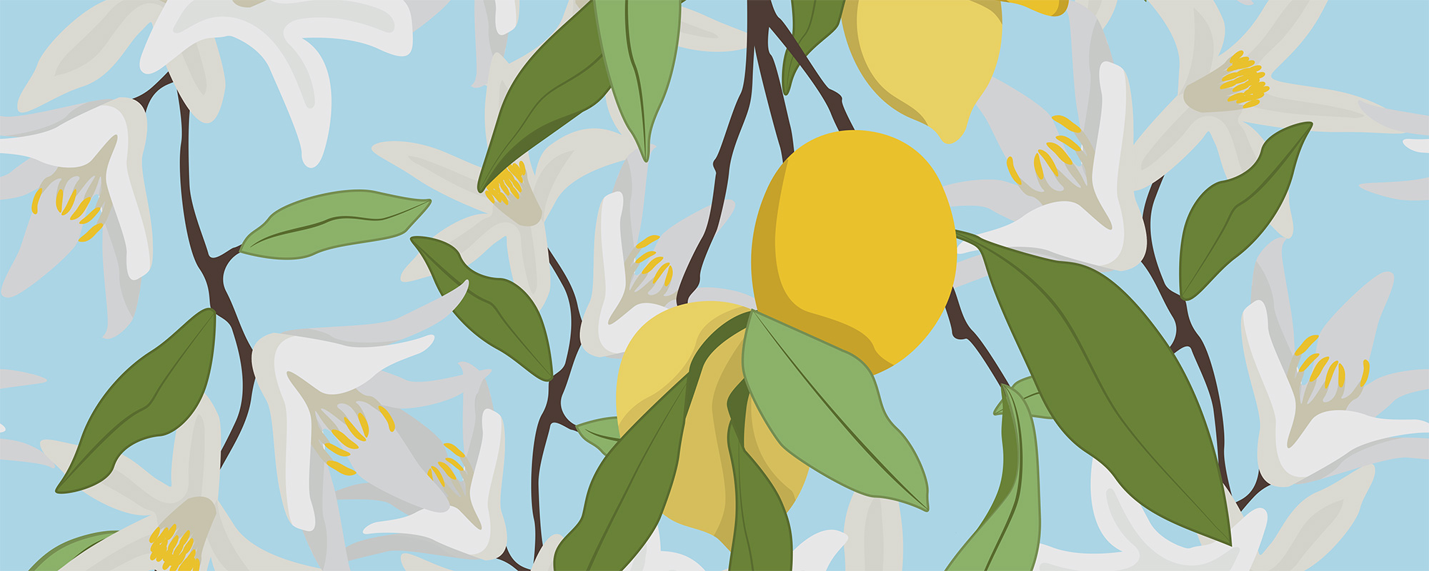 Sicilian Lemons and Blooms
