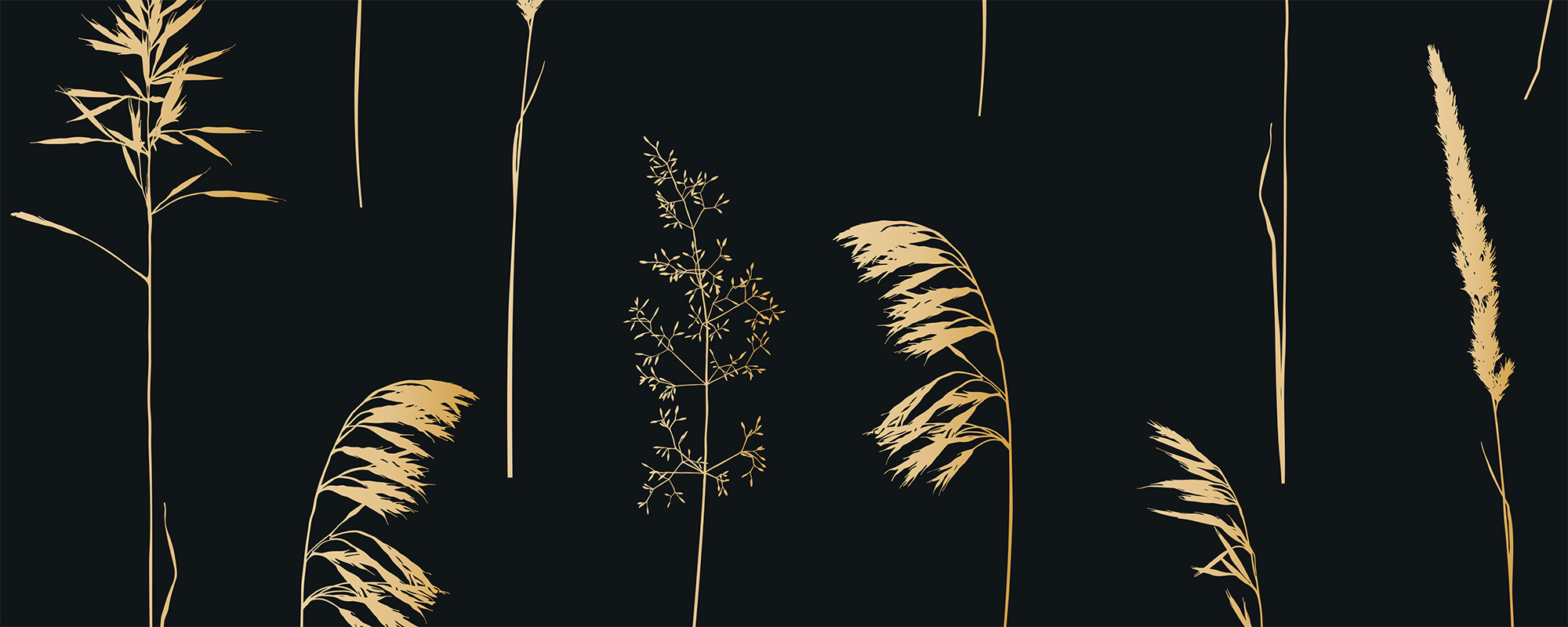 Golden Straw Field – Black