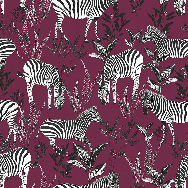 Zebra Kingdom – Violet