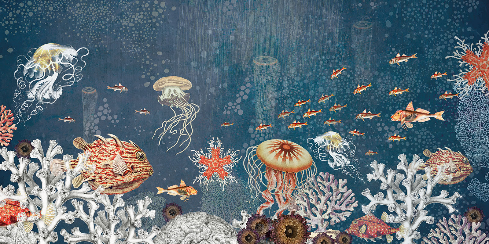 Dreamy Undersea