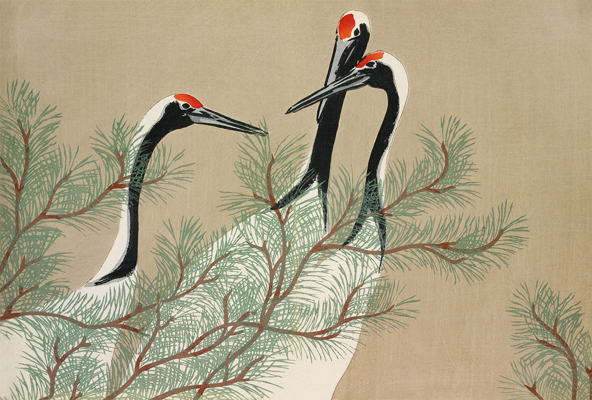 Cranes of Momoyogusa