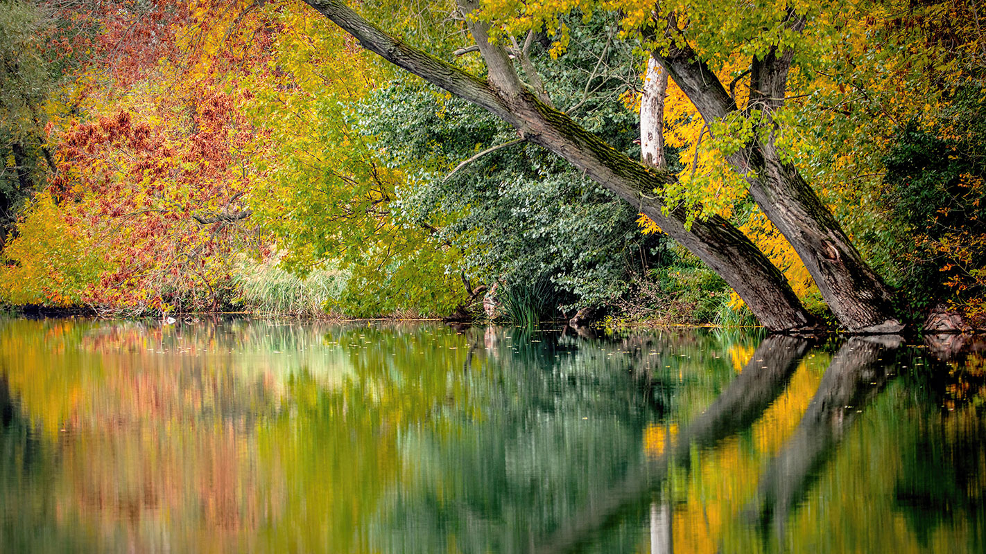 Autumnal Tranquility