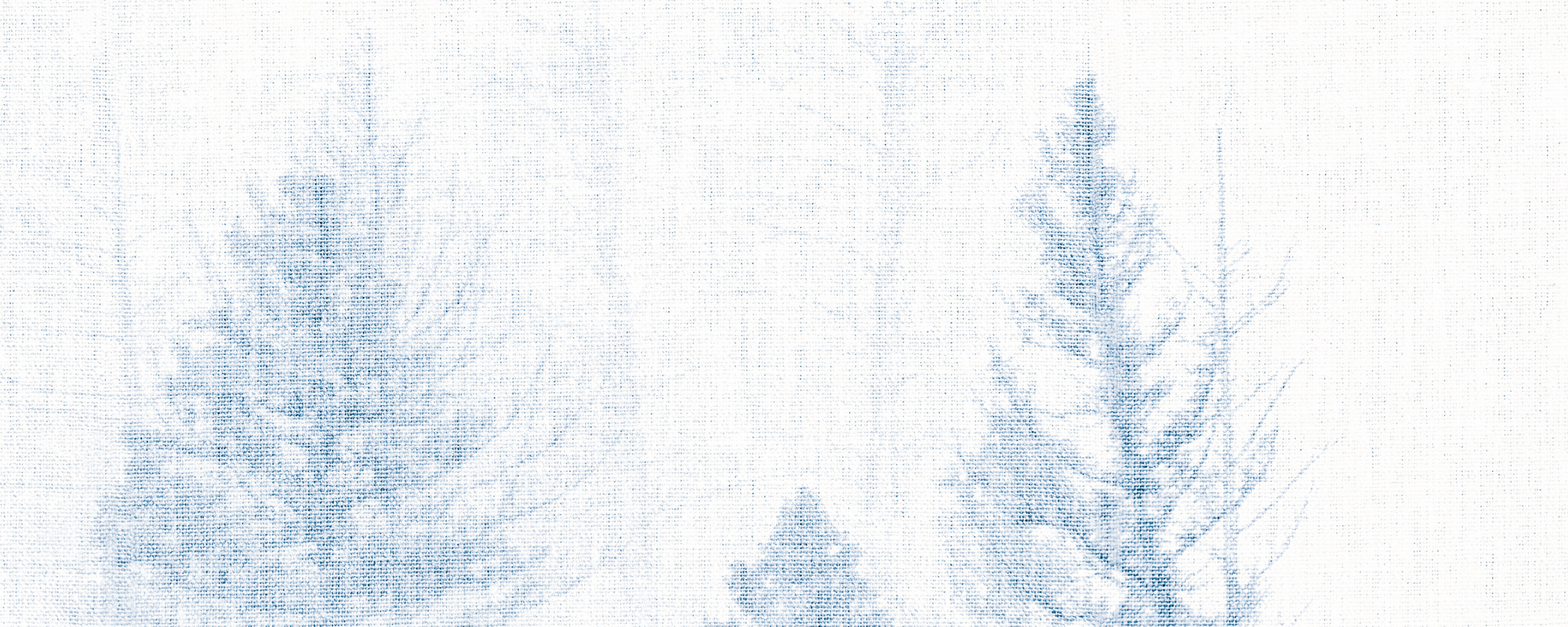 Misty Forest Canvas – Blue