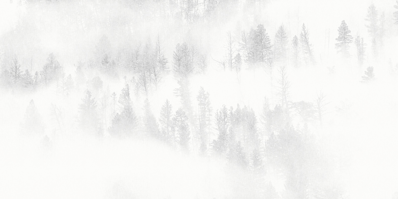 Misty Forest Canvas – Grey