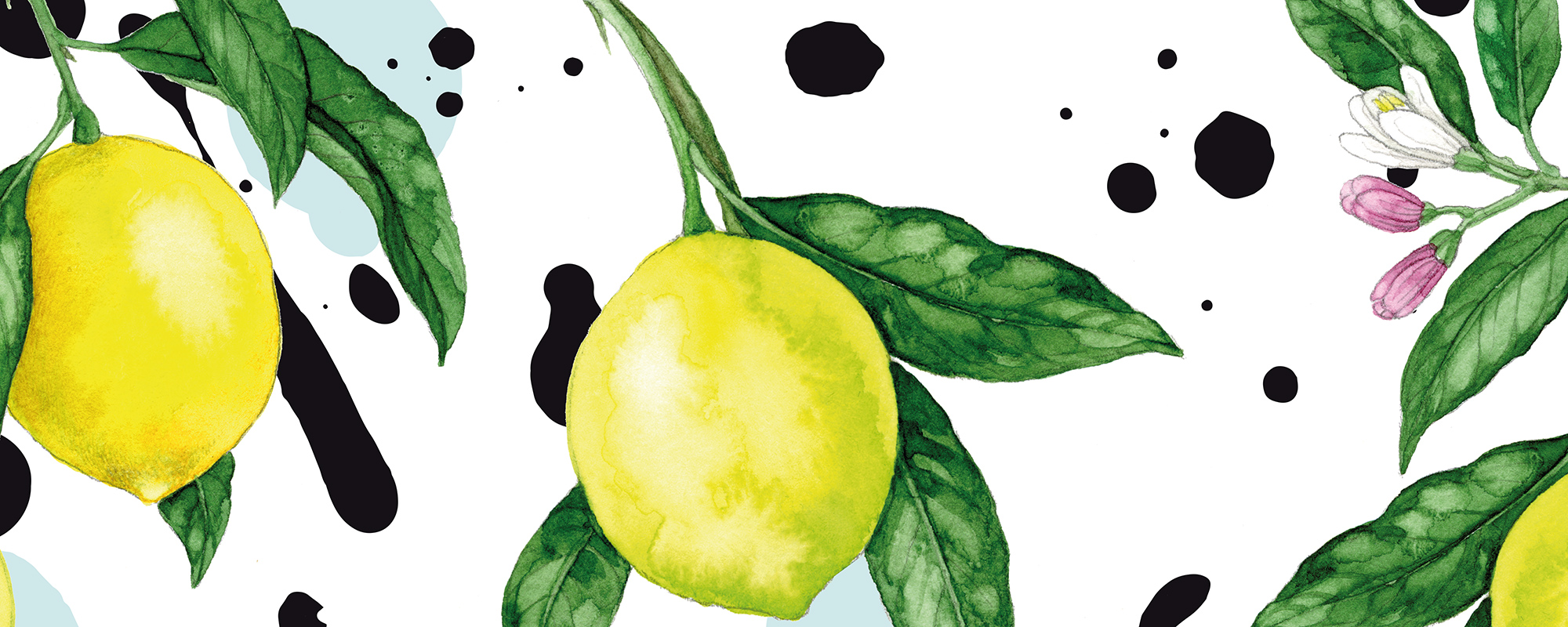 So Fresh Lemons and Splashes – White