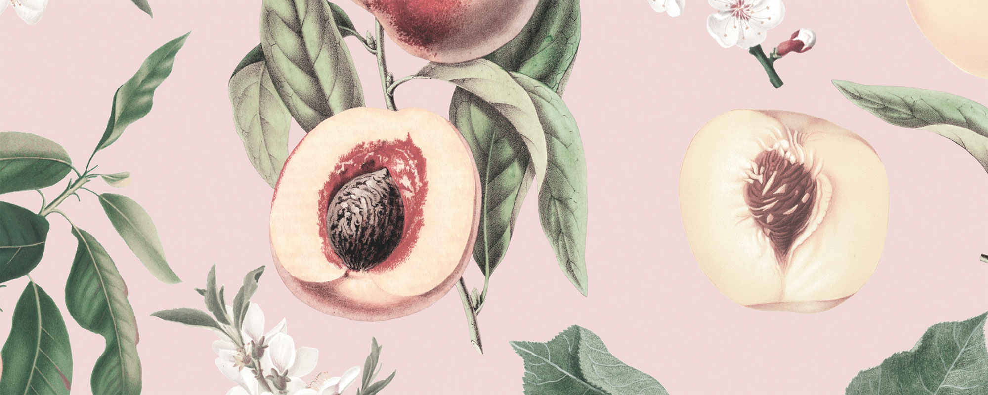 Peach Bellini – Muted Pink