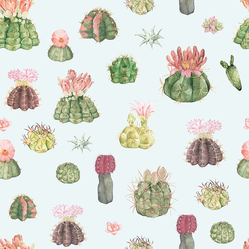 Kaktuse Klara – helesinine
