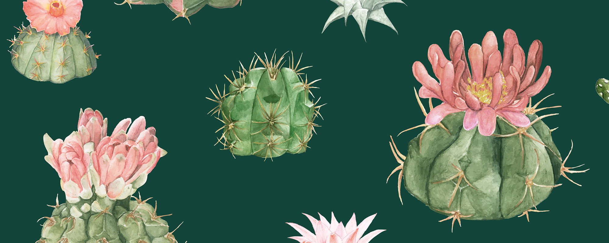 Cacti Clara – Petrol Green