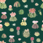 Cacti Clara – Petrol Green