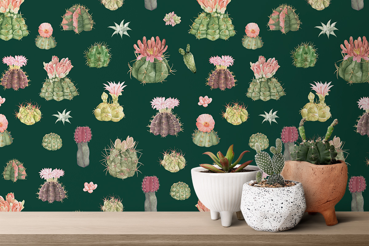 Kaktuse Klara – petrooleumroheline