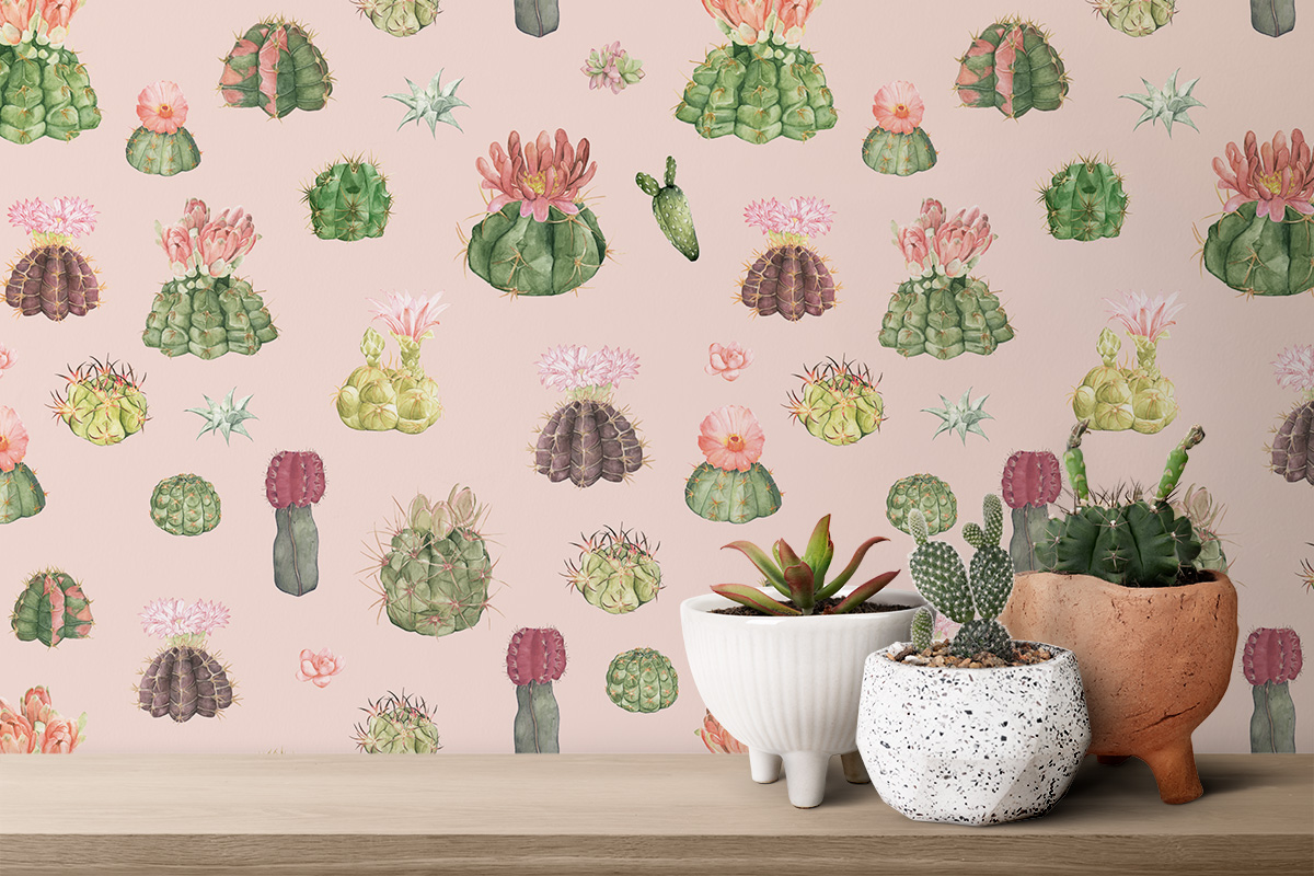 Kaktuse Klara – roosa