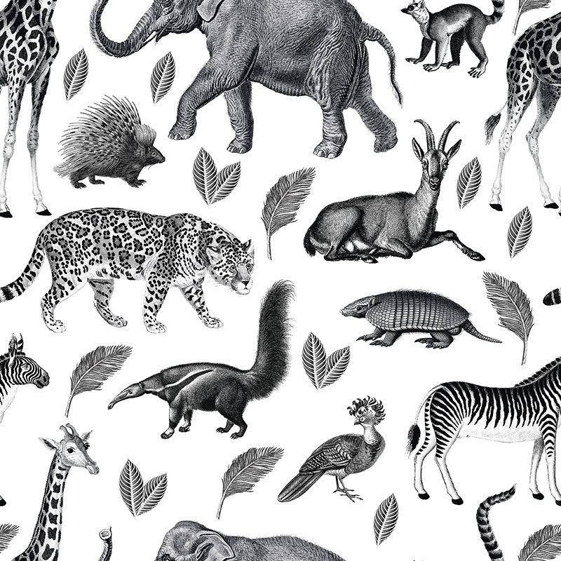 Animal Lookbook – black & white