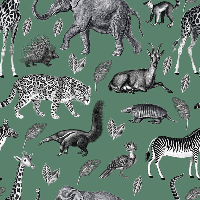 Animal Lookbook – Green