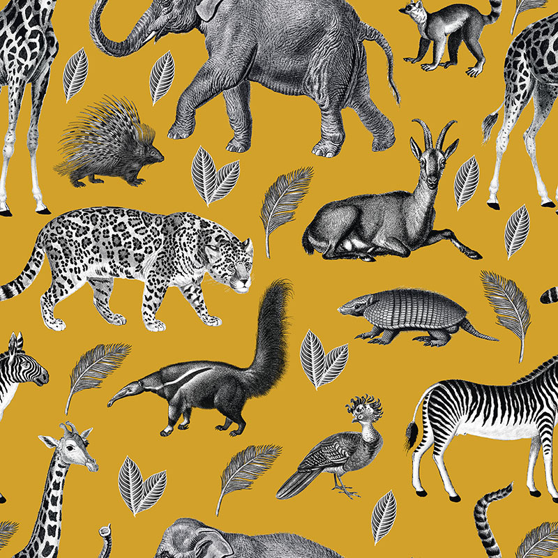 Animal Lookbook – mustard
