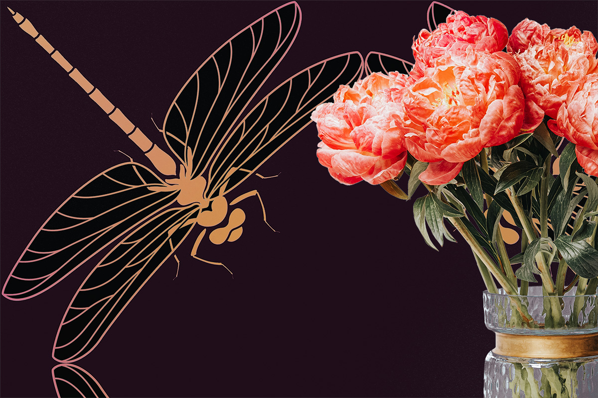 Dragonfly Dance – Aubergine