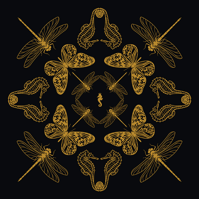 Insect Kaleidoscope – Black