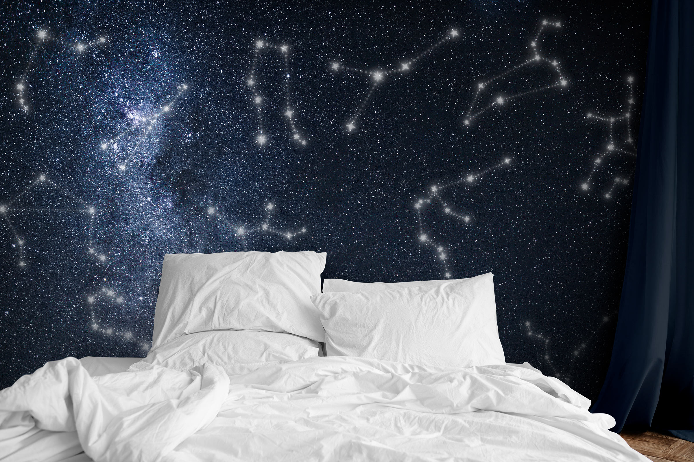 Zodiac Signs in the Starry Sky