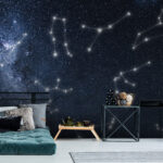 Zodiac Signs in the Starry Sky