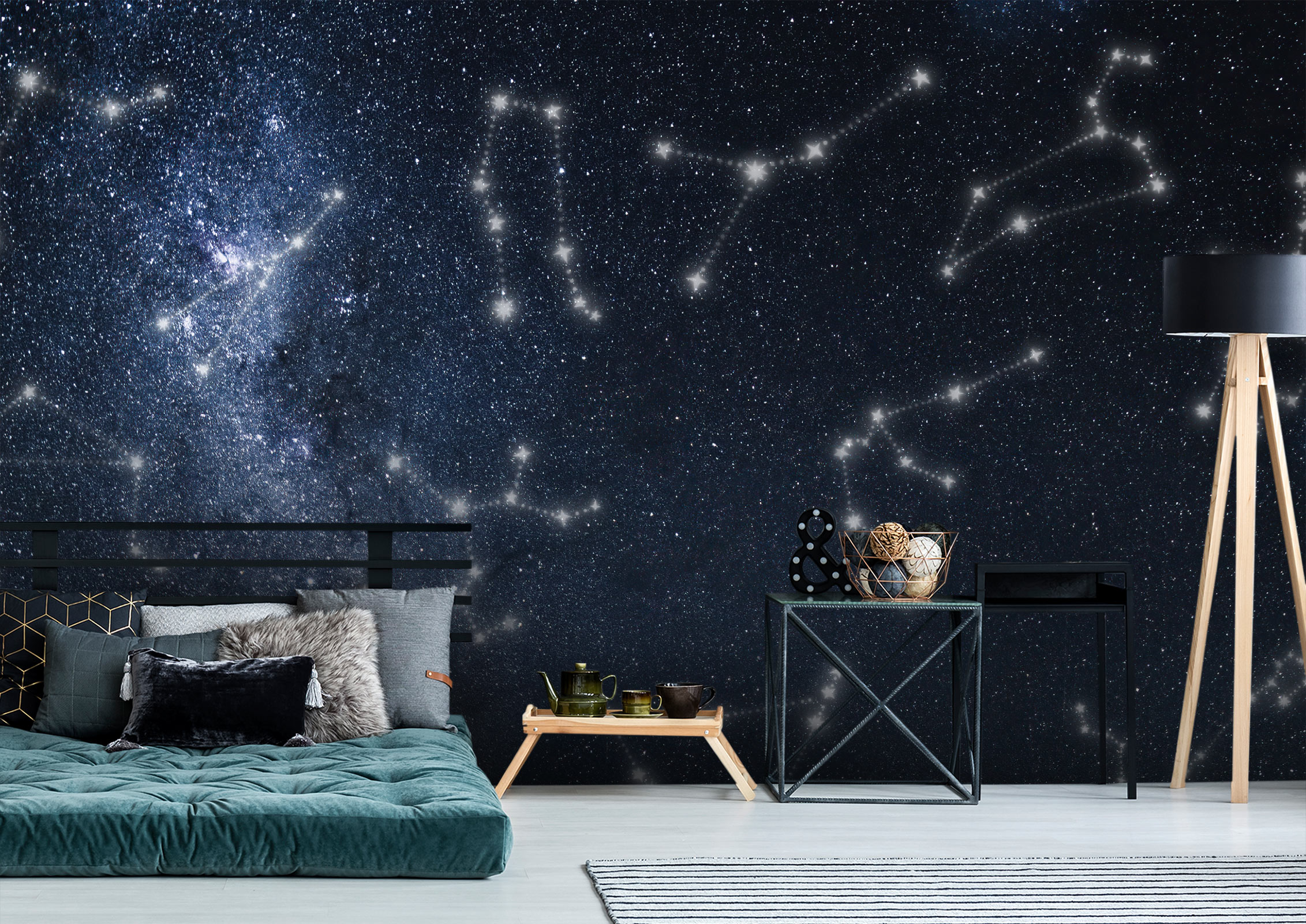 Zodiac Signs in the Starry Sky