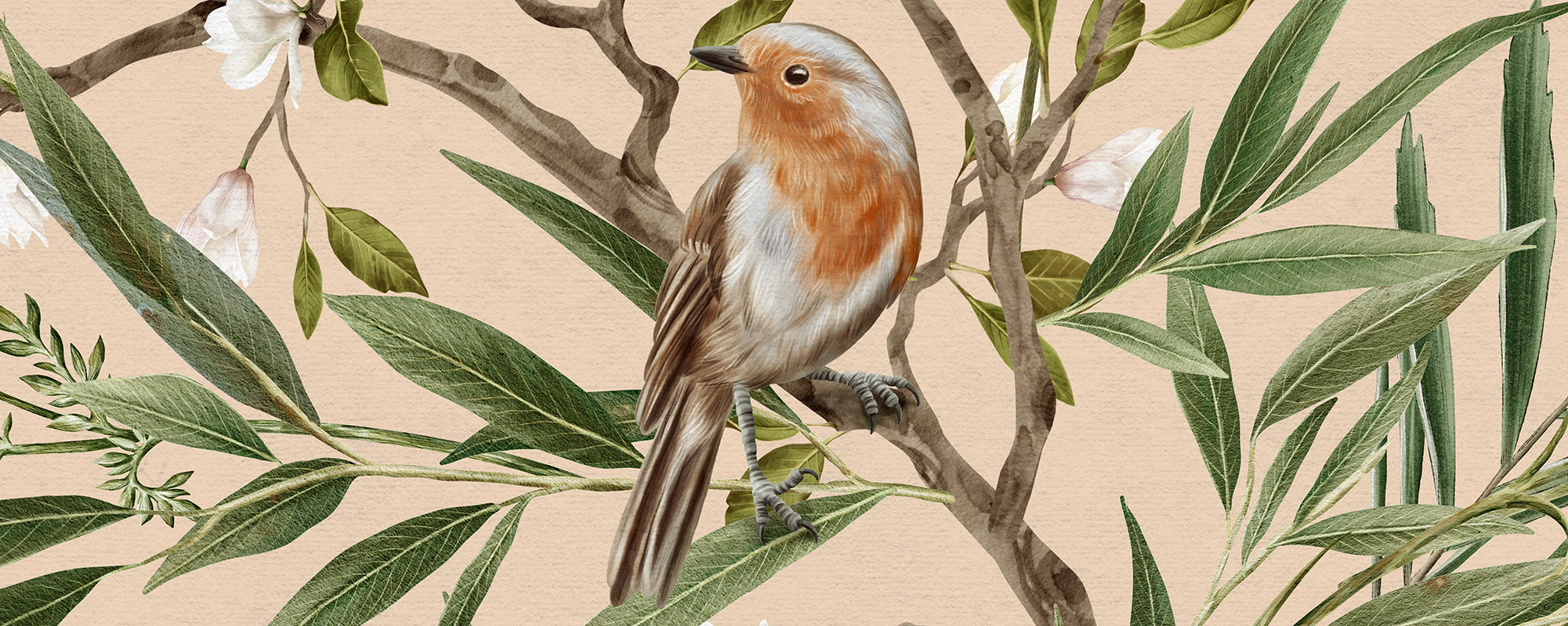 Robins & Blossoms