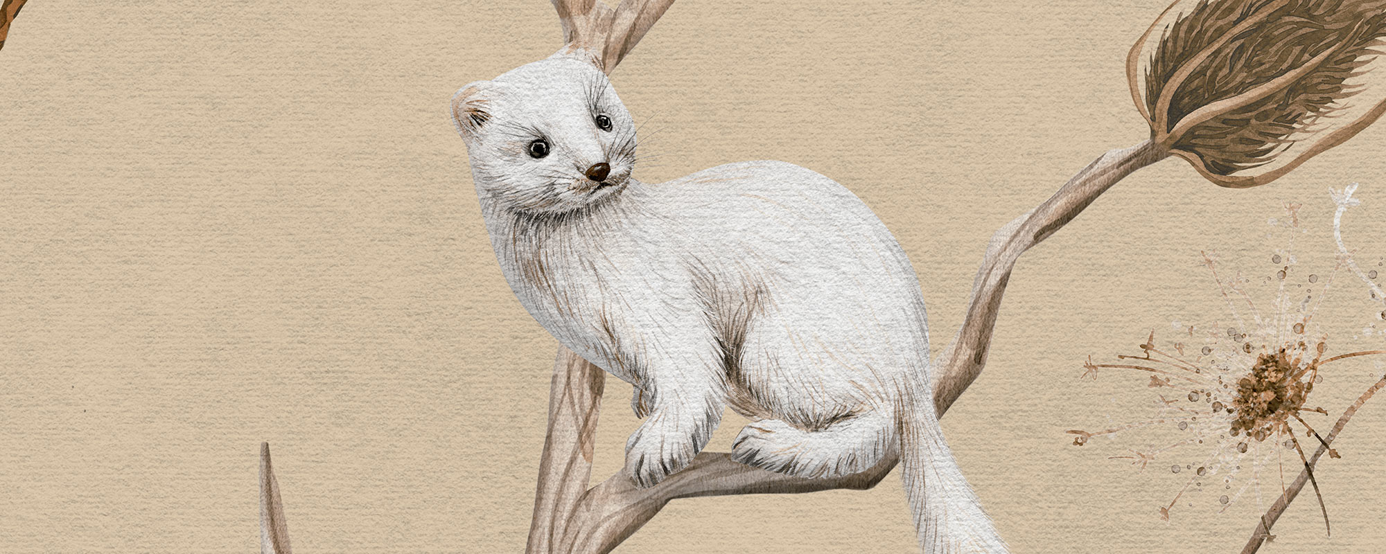 Forest of Playful Foxes – Beige