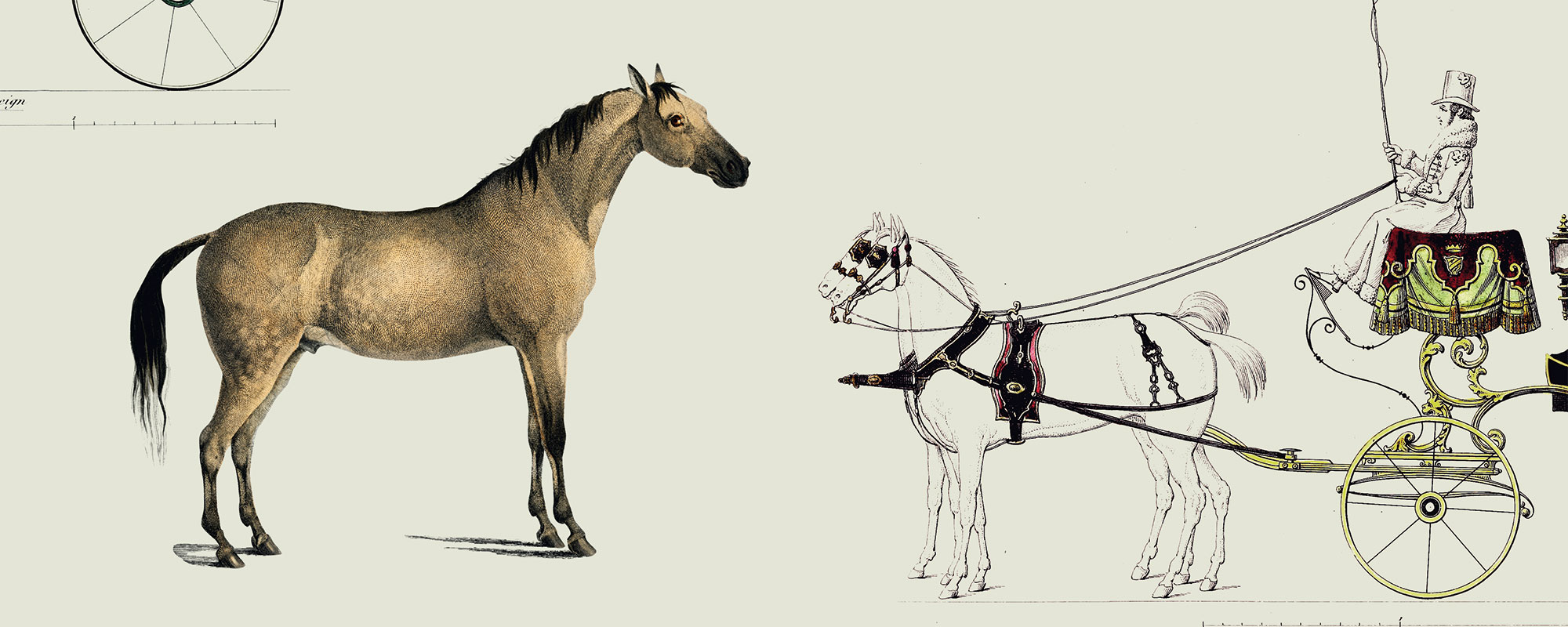 Horse Parade – Pistachio