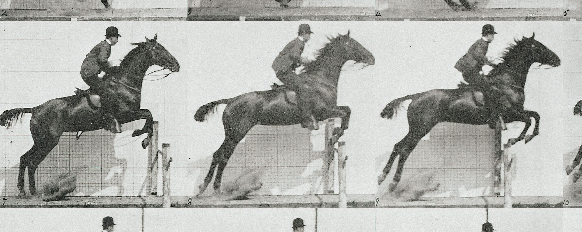 Equestrian Film – Grey
