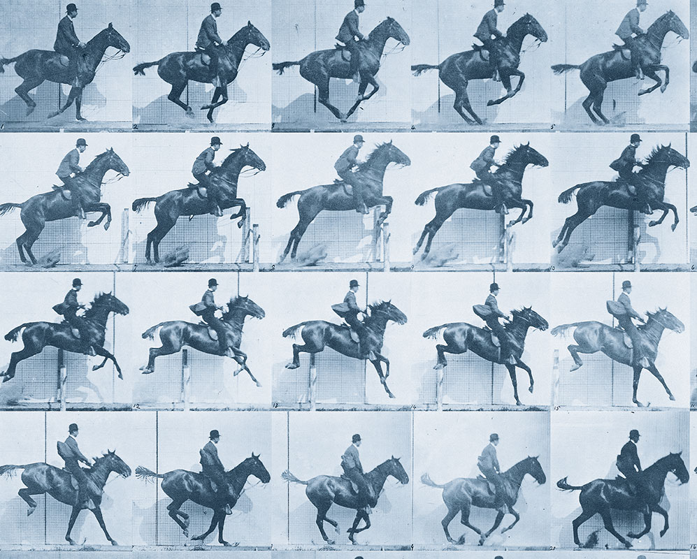 Equestrian Film – Blue