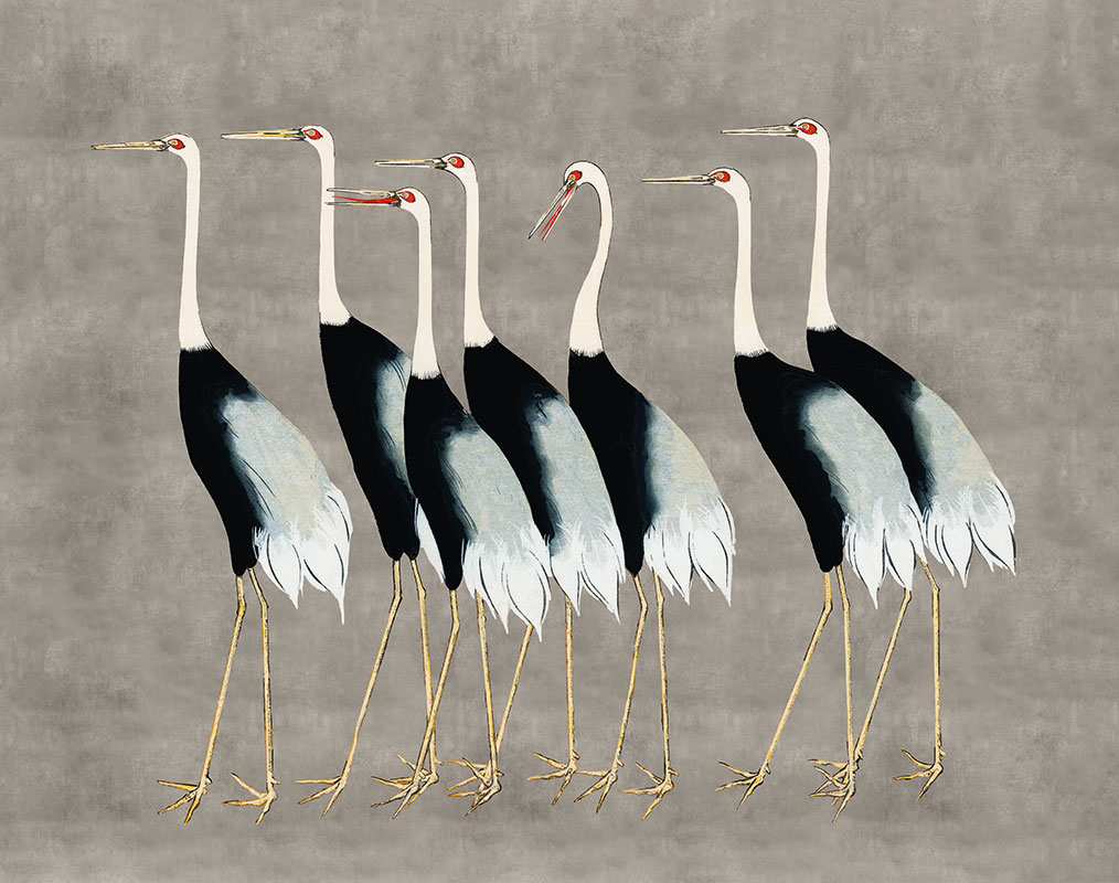 Flock of Japanese Red Crown Cranes