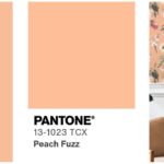 Peach Fuzz, the color of elegance and 2024!