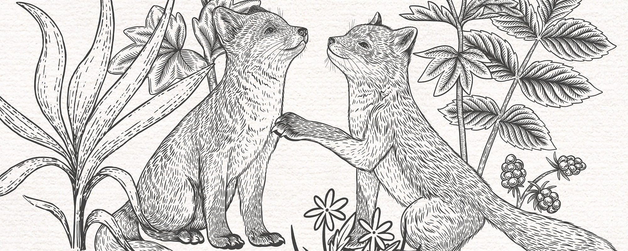 Fun Foxes – Black & White