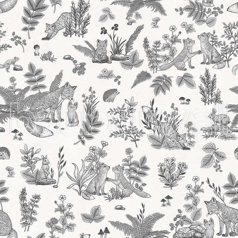 Fun Foxes – Black & White