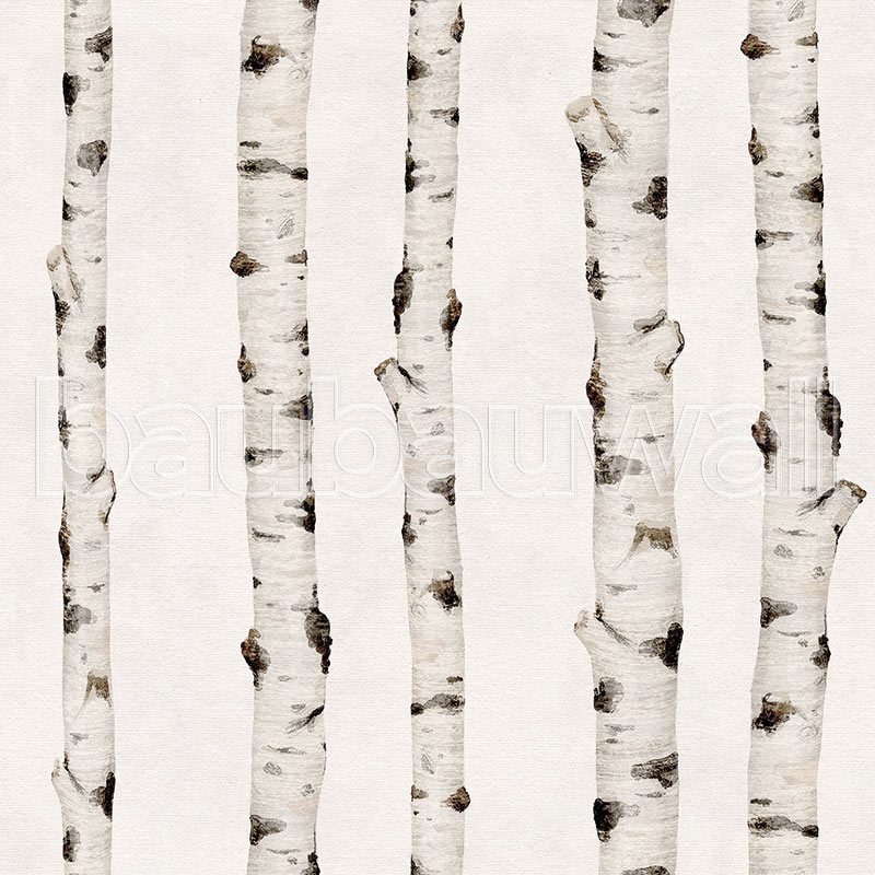 Birch Trees