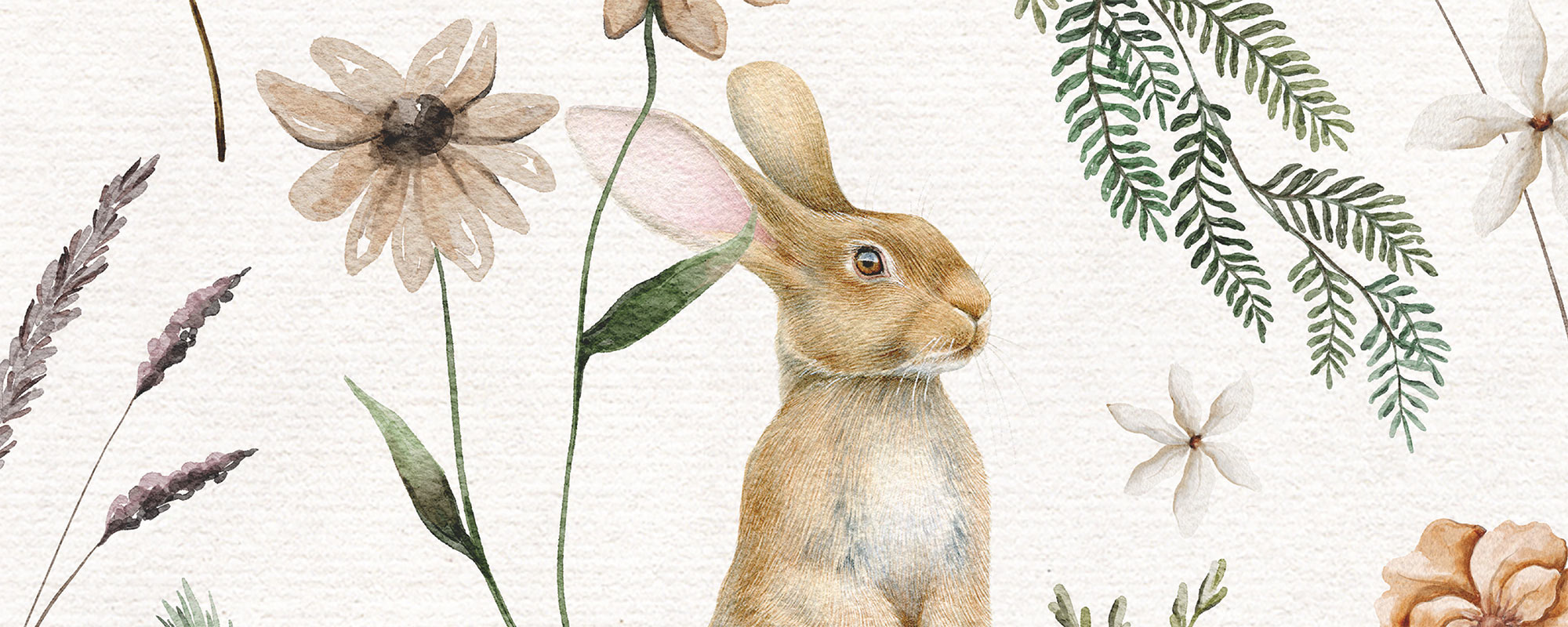 Country Rabbits