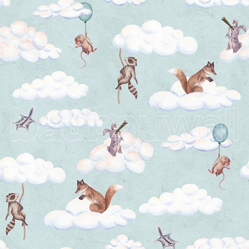 Fun in the Clouds