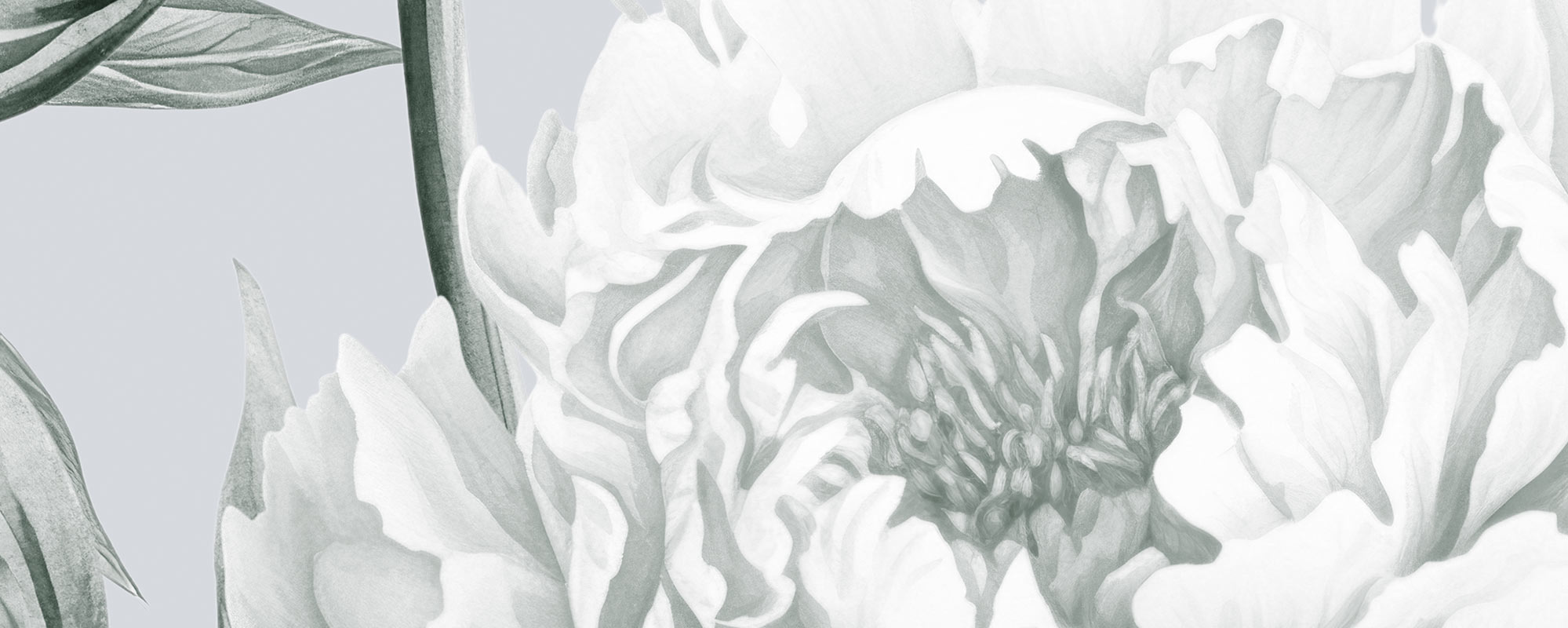 Peony Daydream – Grey