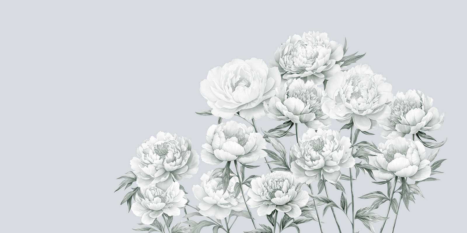 Peony Daydream – Grey