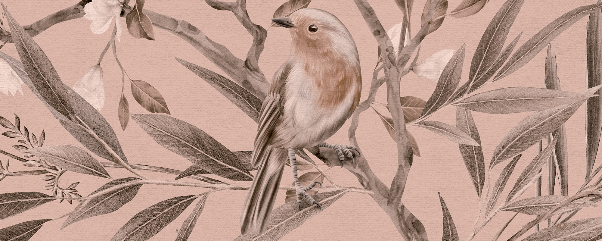 Lindude aed – roosa