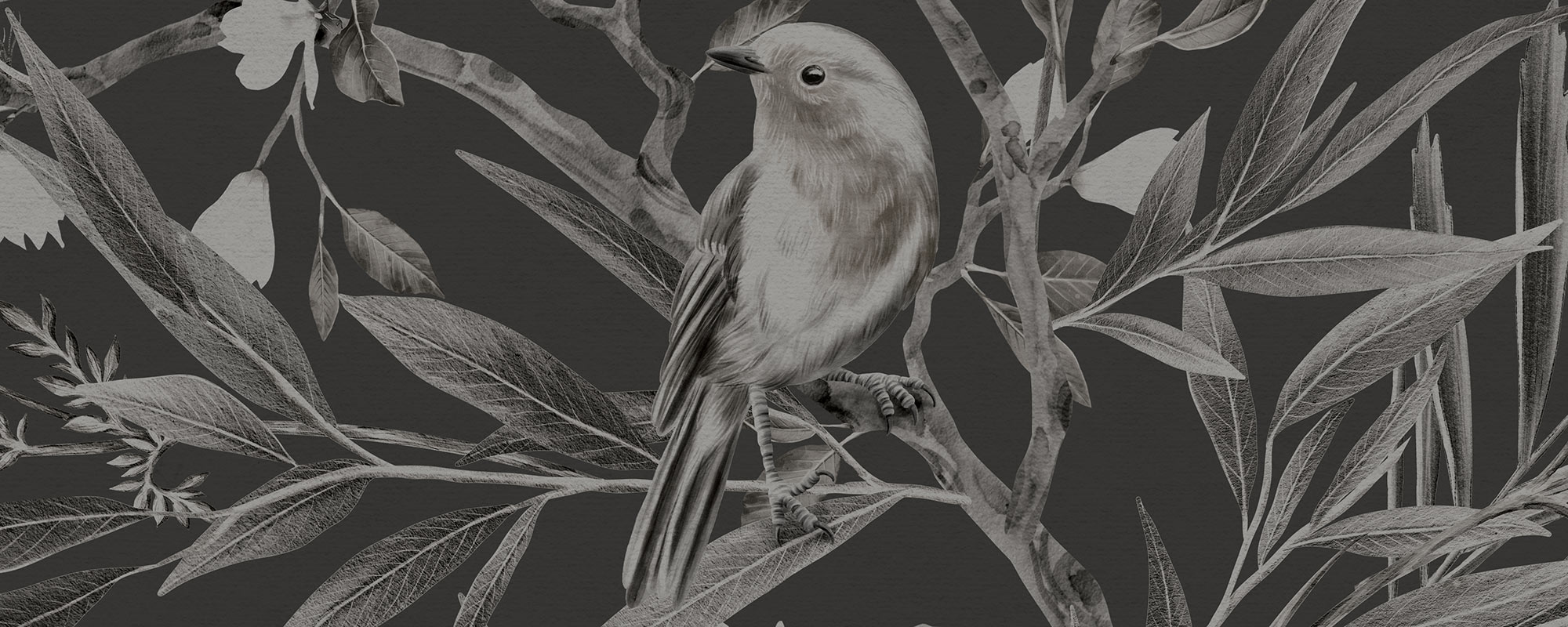 Garden of Robins – Black