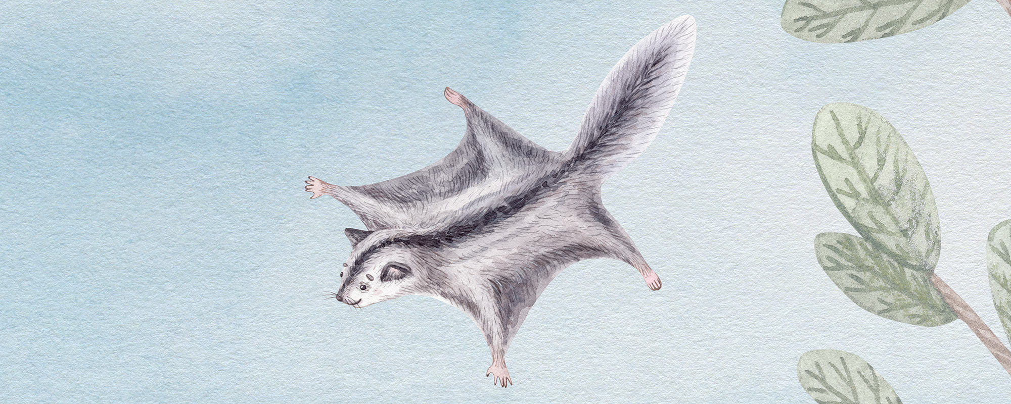 Lastetoa tapeet – Loomade seiklus