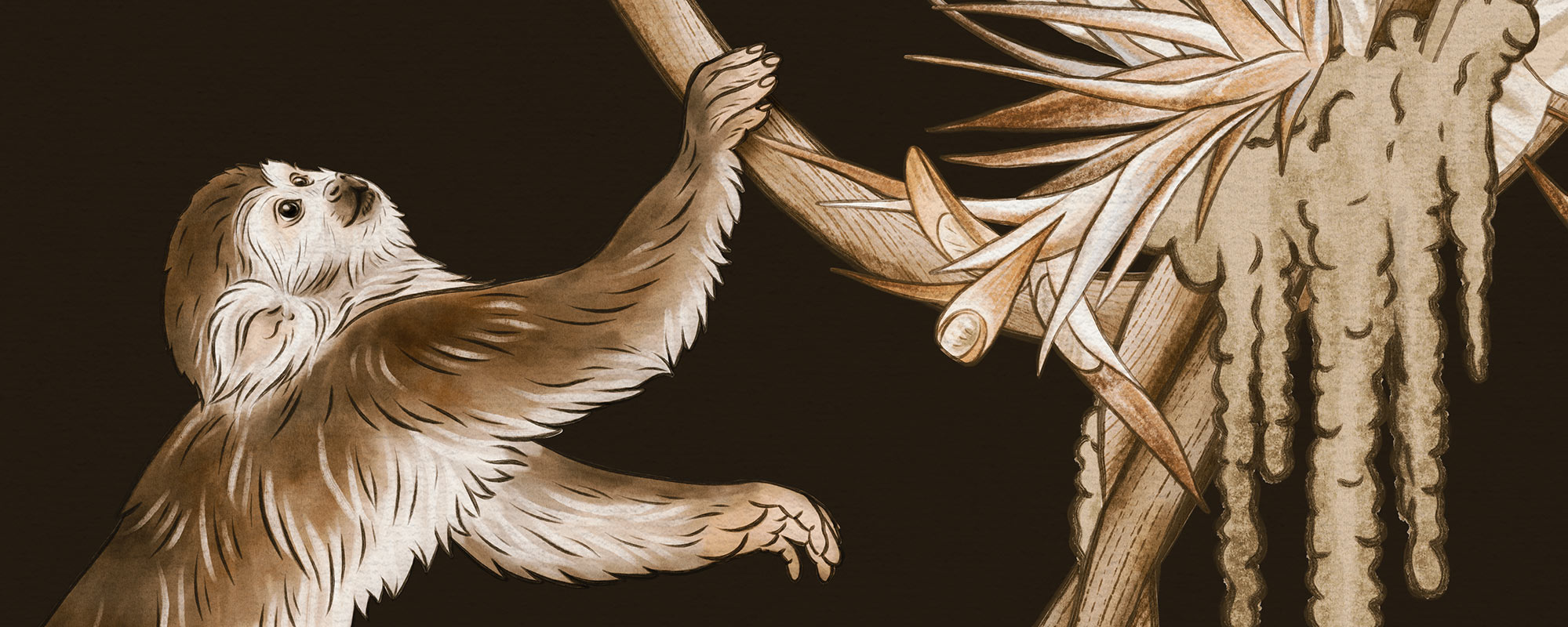 Troopiline sviit – must