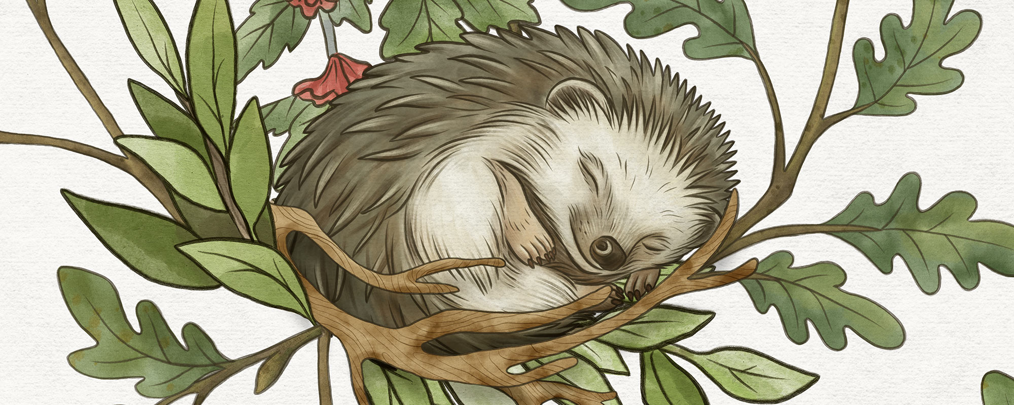 Playful Woods – White