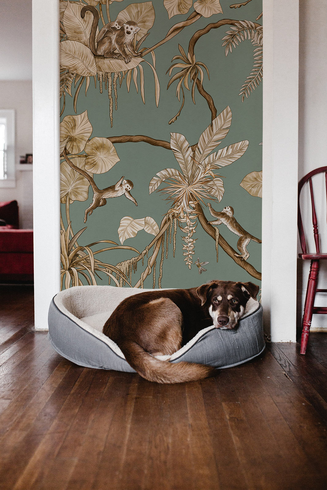 Troopiline sviit – sinakasroheline